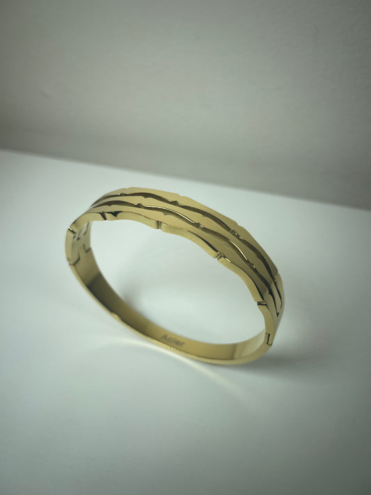 Bracelet Tigré
