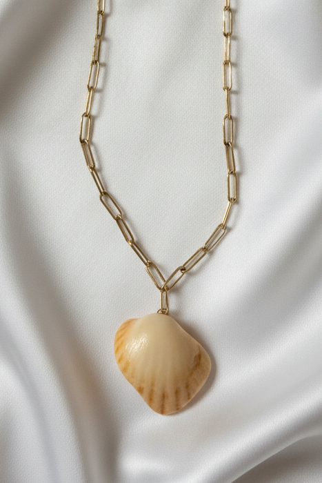 Collier coquillage fond blanc satiné