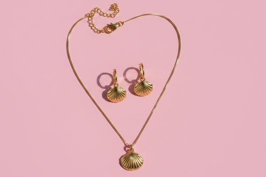 Coquillage vue dessus fond rose