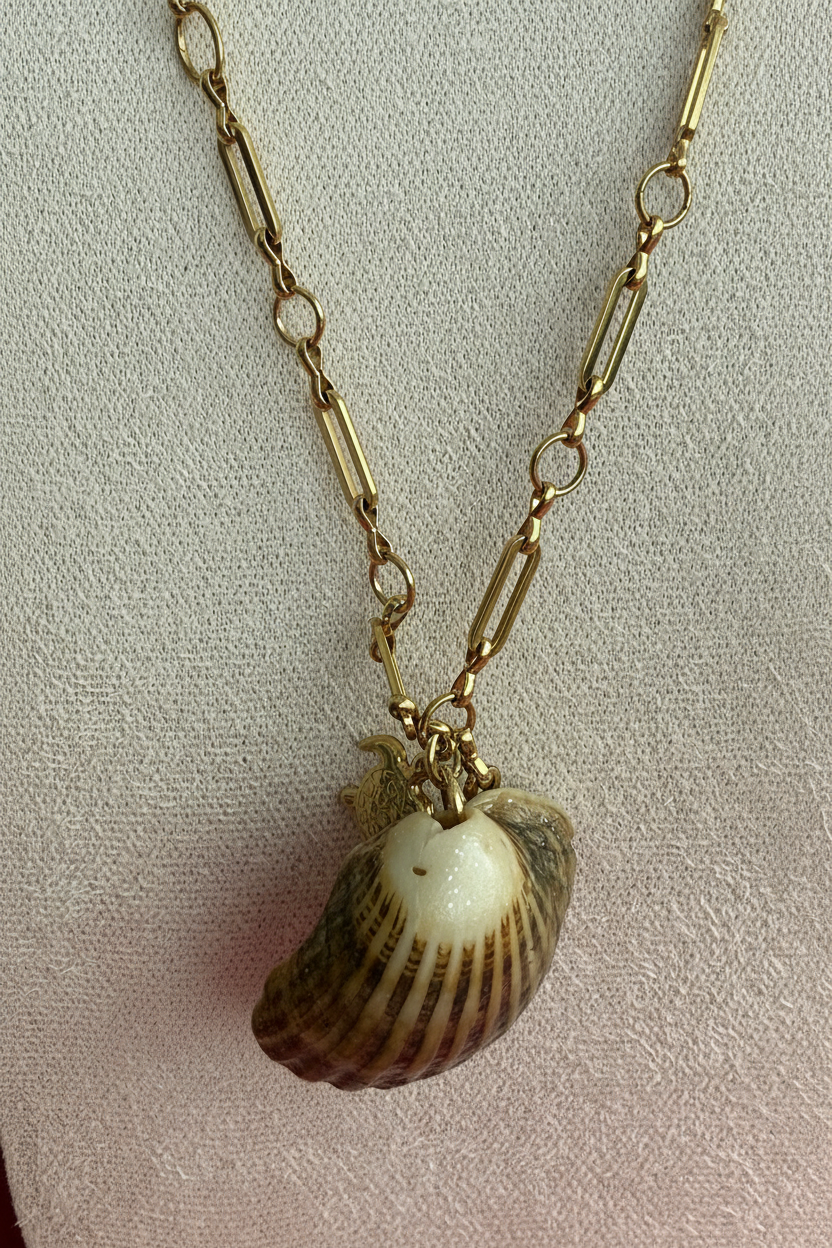 Coquille spirale fond rose